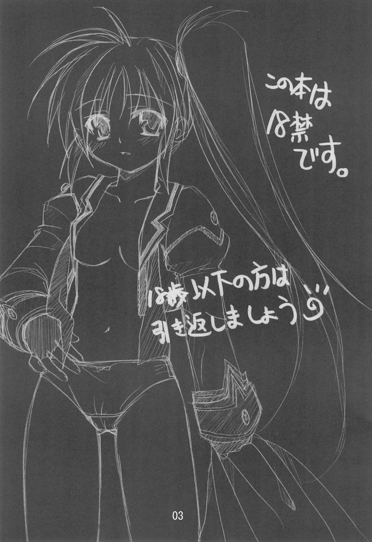 Mahou Shoujo wa Sainan nano page 3 full