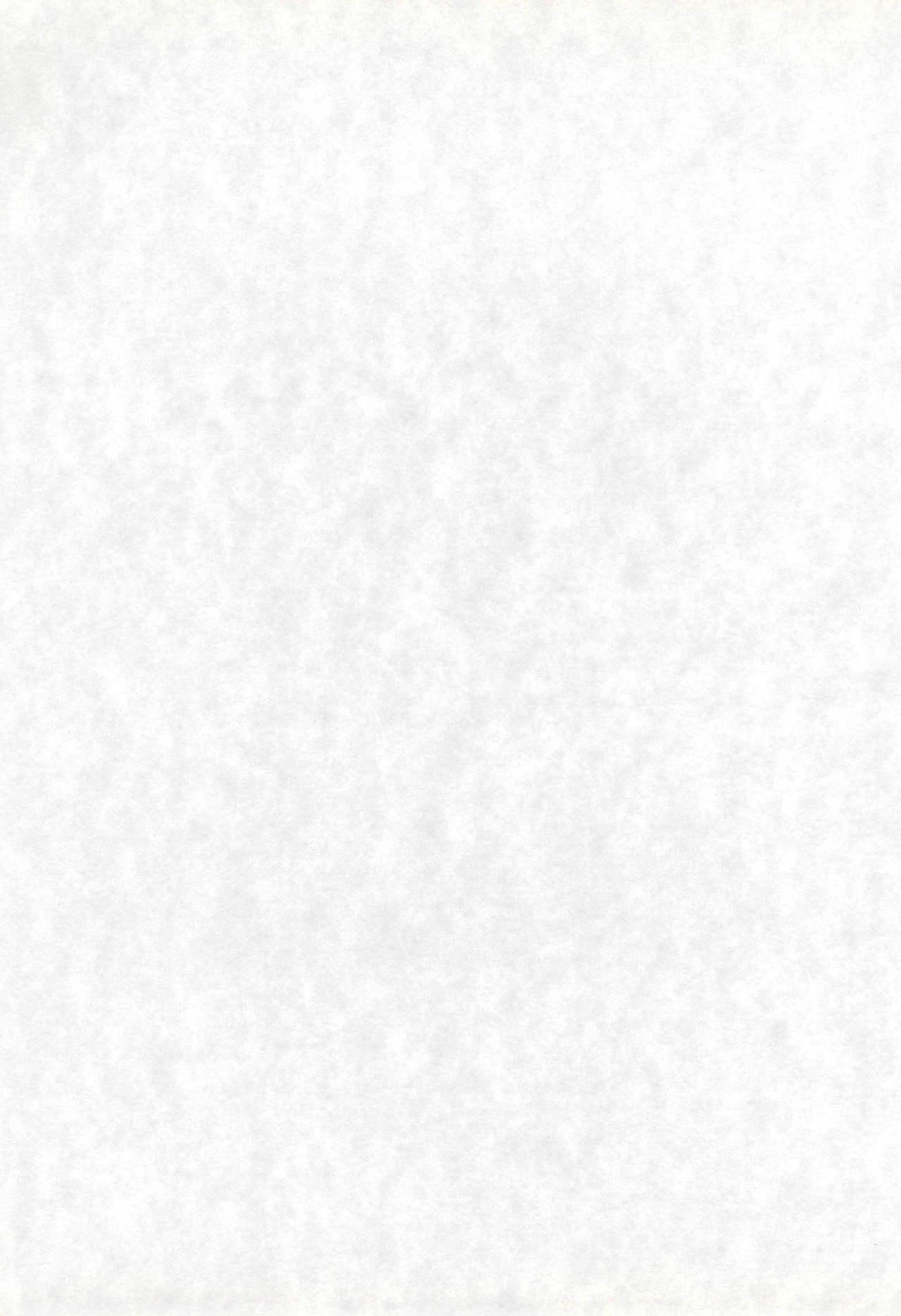 MANITOU SX page 3 full