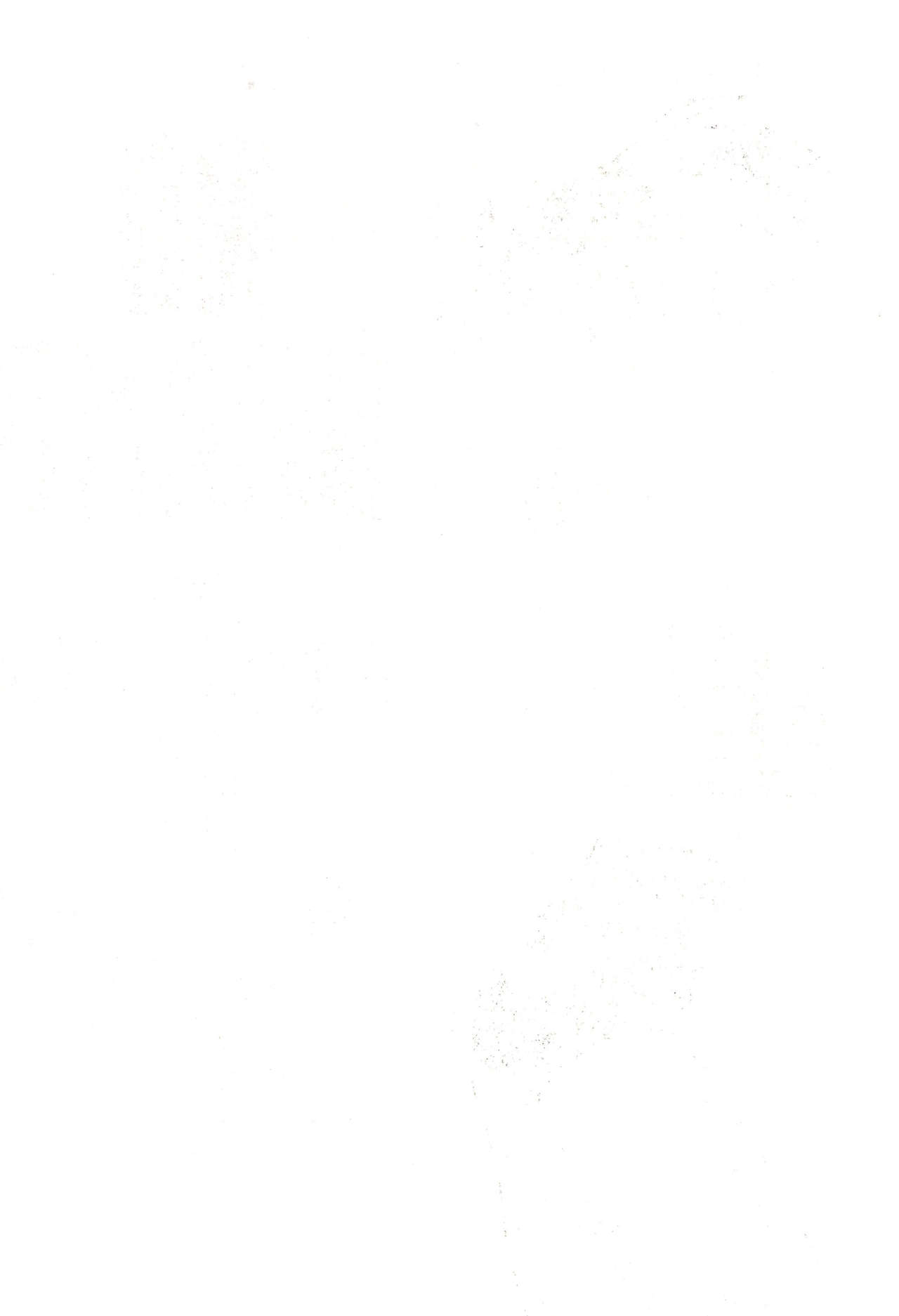 NO BRAND page 2 full