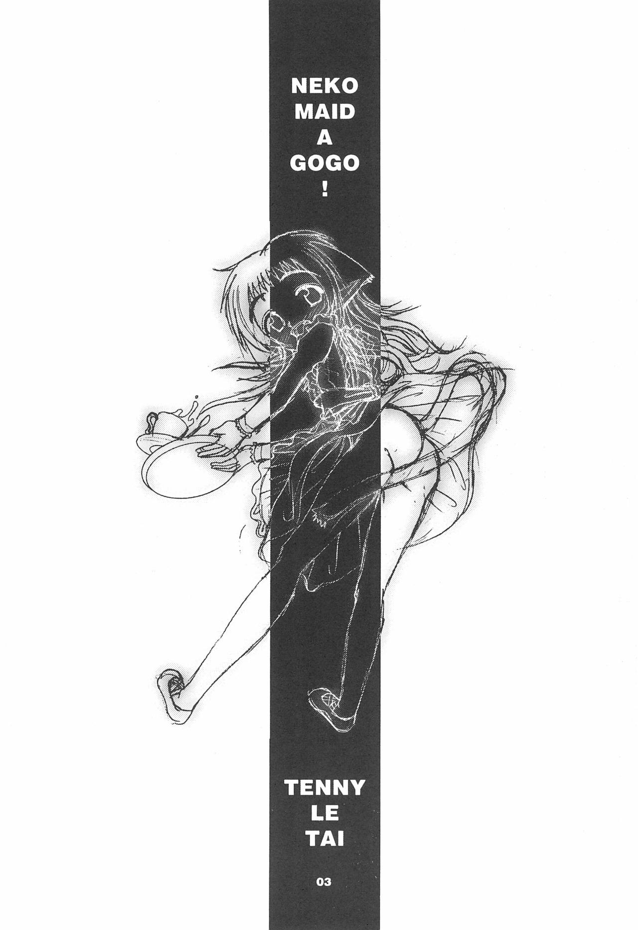 Neko Maid A GO GO! page 5 full