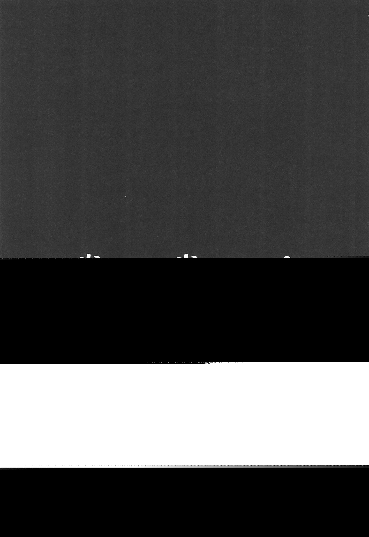 Kimyou Kitenretsu page 5 full