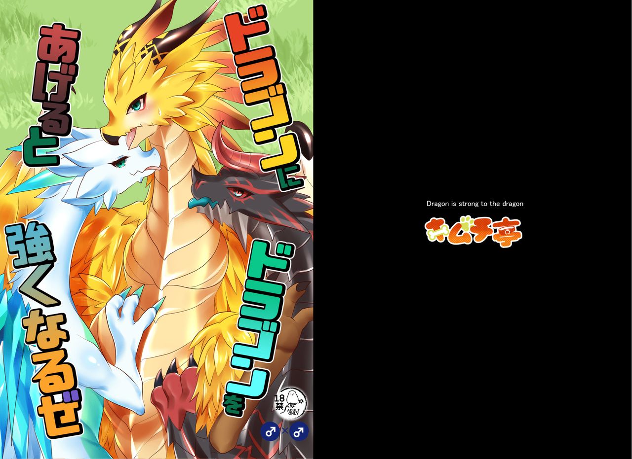 Dragon ni Dragon o Ageru to Tsuyoku Naru ze page 1 full