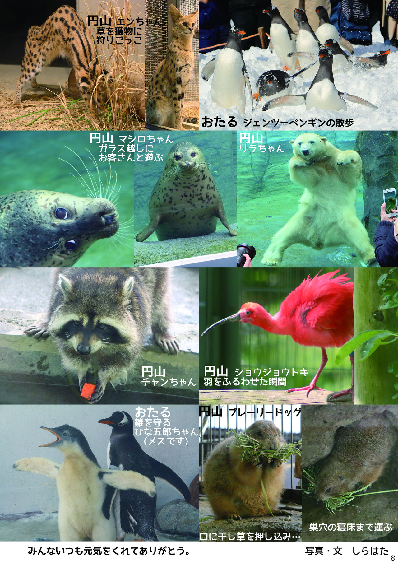 may Kemono Friends Thre Goudoushi 2 page 10 full