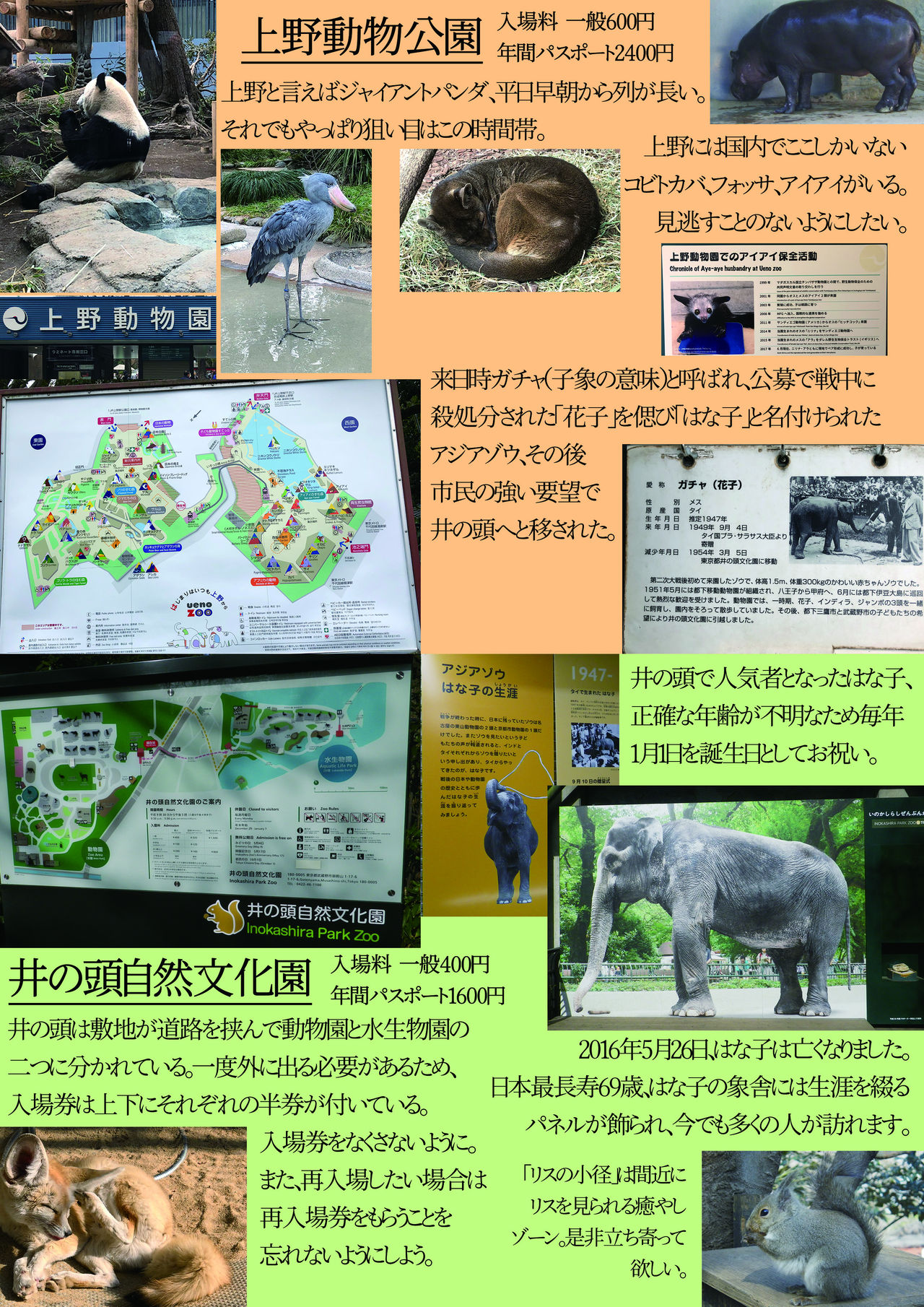 may Kemono Friends Thre Goudoushi 2 page 9 full